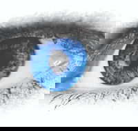 Joe Orton's What the Butler Saw - Accommodation Mt Buller