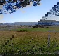 Milton Village Showground Markets - Accommodation Mt Buller