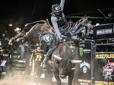 PBR Hawkesbury Stampede - Accommodation Mt Buller 0