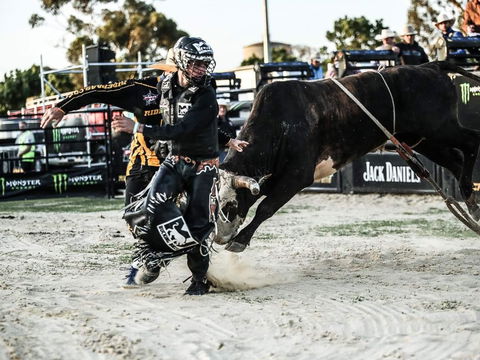 PBR Hawkesbury Stampede - Accommodation Mt Buller 2