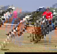 Pride of the West Races 2020 - Accommodation Mt Buller