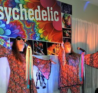 Psychedelic 70s Show The Retro Girls - Accommodation Mt Buller