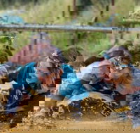 Suck It Up Buttercup Vikings Obstacle Course - Accommodation Mt Buller