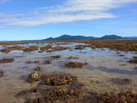 Walk To The Reef - Accommodation Mt Buller 0