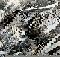 Yamba Farmers and Producers Market - Accommodation Mt buller