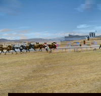 Adaminaby Cup Race Day - Accommodation Mt Buller