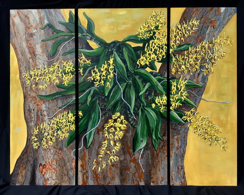 A Still Life - Solo Exhibition  Karen Sedaitis - Accommodation Mt Buller 1