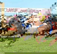 Casino Cup - Accommodation Mt Buller