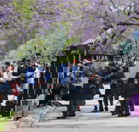 Celtic Festival of Queensland - Accommodation Mt Buller
