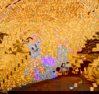 Christmas Lights Spectacular New Year's Eve at Hunter Valley Gardens - Accommodation Mt Buller