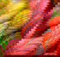 Creative Fibre - Accommodation Mt Buller