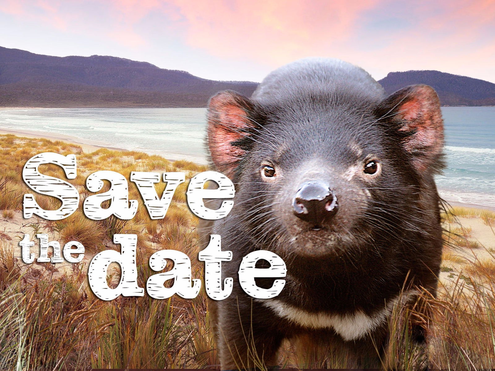 Abels Bay TAS Accommodation Mt Buller