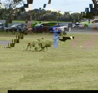 Dean Sheepdog Trials - Old Sniff Classic - Accommodation Mt Buller