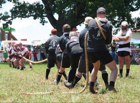 Dorrigo Agricultural Show - Accommodation Mt Buller 1