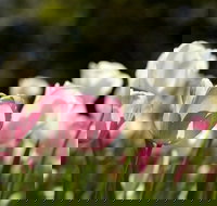 Floriade Reimagined - Accommodation Mt Buller