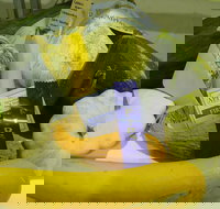 Goulburn Show - Accommodation Mt Buller