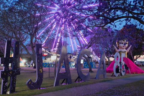 Grafton Jacaranda Festival - Accommodation Mt Buller 0
