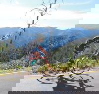 High Country Women's Cycling Festival - Accommodation Mt Buller