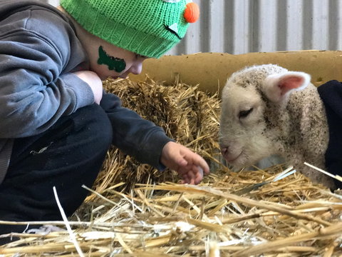 Horsham Agricultural Show - Accommodation Mt buller 0