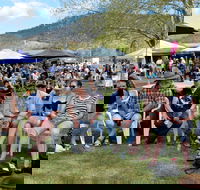 Jamming at Jingellic - Accommodation Mt Buller