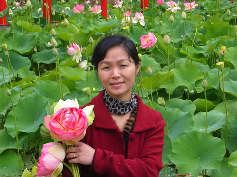 Lotus Flower Season - Accommodation Mt Buller 1