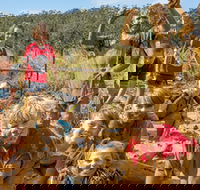 Mini Muddies Obstacle Challenge at Bunnamagoo Estate - Accommodation Mt Buller