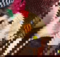 Murrindindi Beanie  Fibre Festival Online - Accommodation Mt Buller