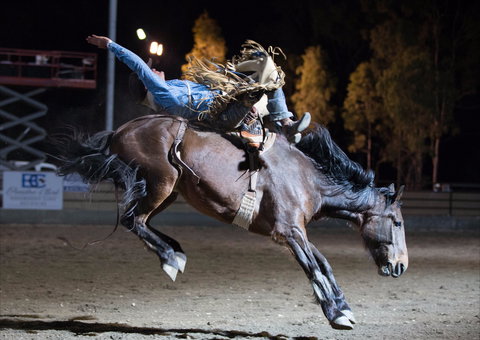 North Queensland Elite Rodeo - Accommodation Mt buller 1