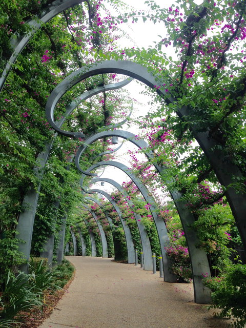 Photography Class / Tour Of Brisbane - Accommodation Mt buller 0