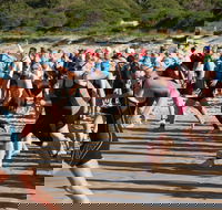 Port Stephens Triathlon Festival - Accommodation Mt Buller