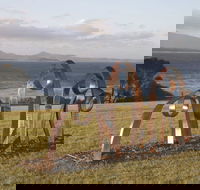 Sculpture Bermagui - Accommodation Mt Buller