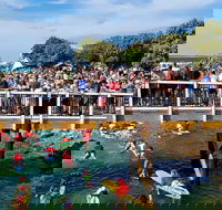 The Crescent Head Santa Surf - Accommodation Mt Buller