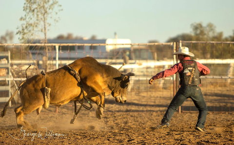 Walgett Charity Bushman's Carnival Rodeo And Campdraft - Accommodation Mt Buller 0