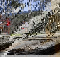 Wollombi Wild Ride Mountain Bike Ride - Accommodation Mt Buller