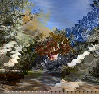 Zoorassic at Werribee Open Range Zoo. - Accommodation Mt Buller