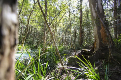 Bottlebutt Bash Trail Run - Accommodation Mt Buller 0