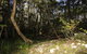 Bottlebutt Bash Trail Run - thumb 1