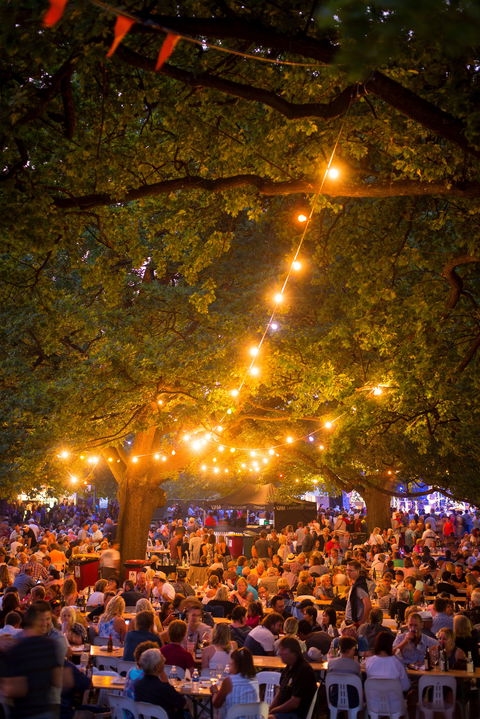 Festivale - Accommodation Mt Buller 0