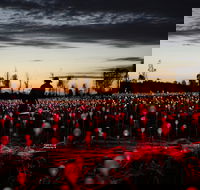 Field of Light Uluru - Accommodation Mt Buller
