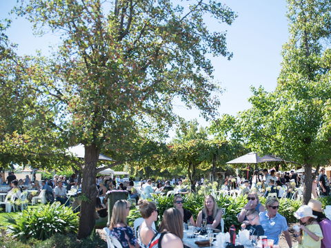 Griffith Vintage Festival - Accommodation Mt Buller 2