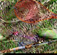 Guyra TroutFest - Accommodation Mt Buller