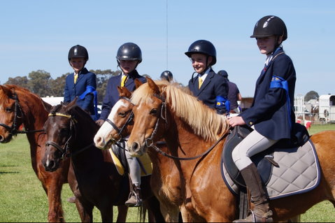 Hay Agricultural Show - Accommodation Mt Buller 0