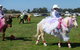 Hay Agricultural Show - thumb 1