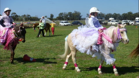 Hay Agricultural Show - Accommodation Mt Buller 1