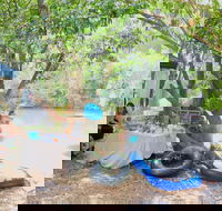 Jungle Love Festival - Accommodation Mt Buller