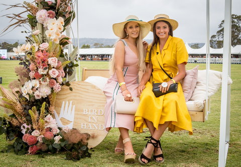 Land Rover Polo In The City Brisbane - Accommodation Mt Buller 1