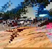 Maleny Wood Expo From Seed to Fine Furniture - Accommodation Mt Buller