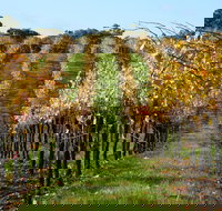 Miners Ridge Wine Tasting - Accommodation Mt Buller