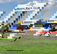 Moree Race Club TAB Race Day - Accommodation Mt Buller