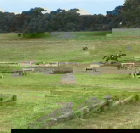 Mount Gambier and District Pony Club Horse Trials 2020 - Accommodation Mt Buller